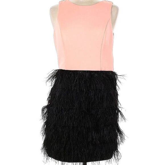 Slate and Willow Sz. 6 Cocktail Dress | Blush Top | Feathered Skirt | Unique - Picture 1 of 3